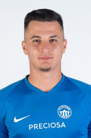 Milan Krlek